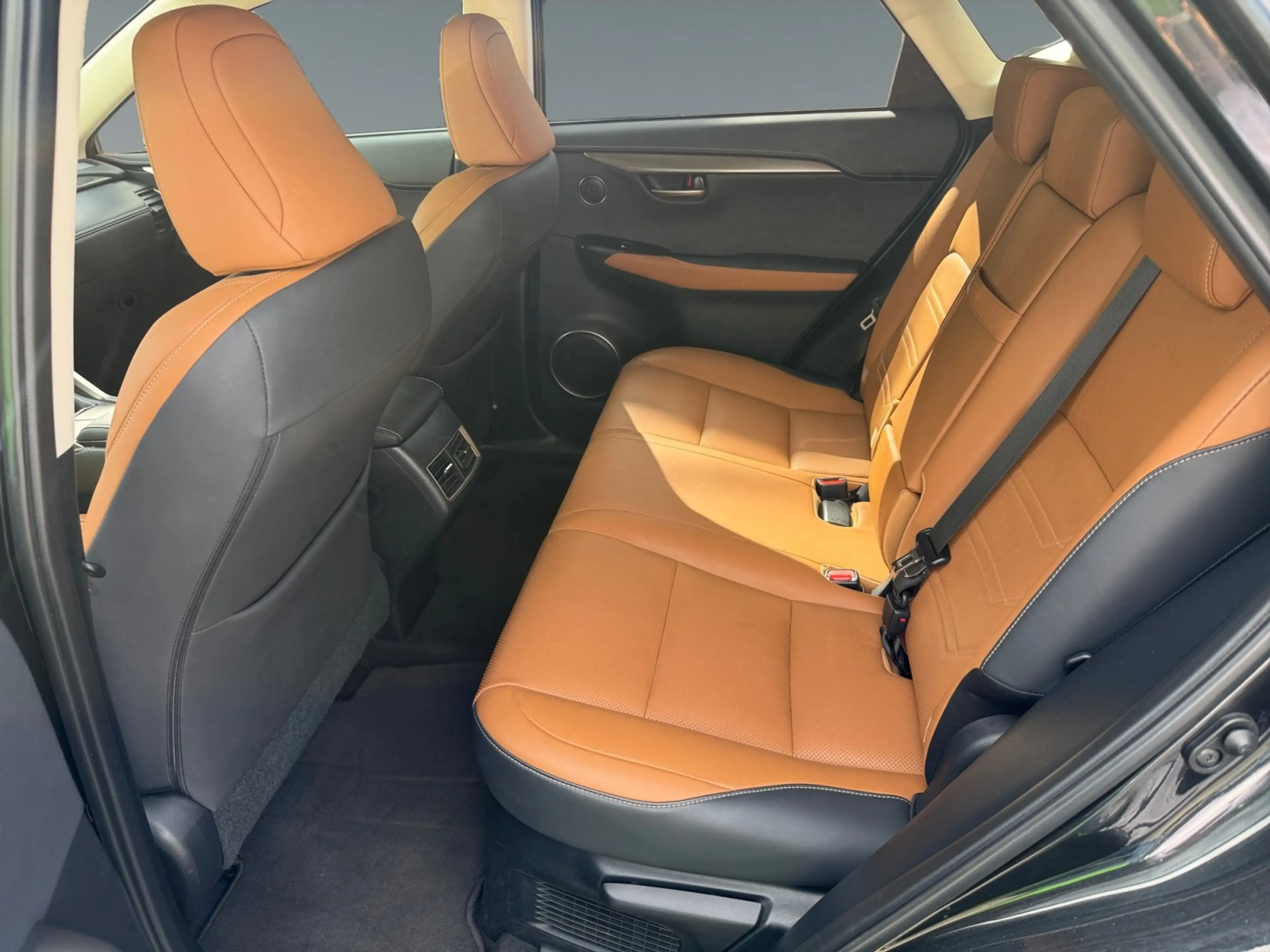 Lexus NX 300h E-Four Executive Line PANO/NAVI — photo 14