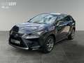 Lexus NX 300h E-Four Executive Line PANO/NAVI Schwarz - thumbnail 2