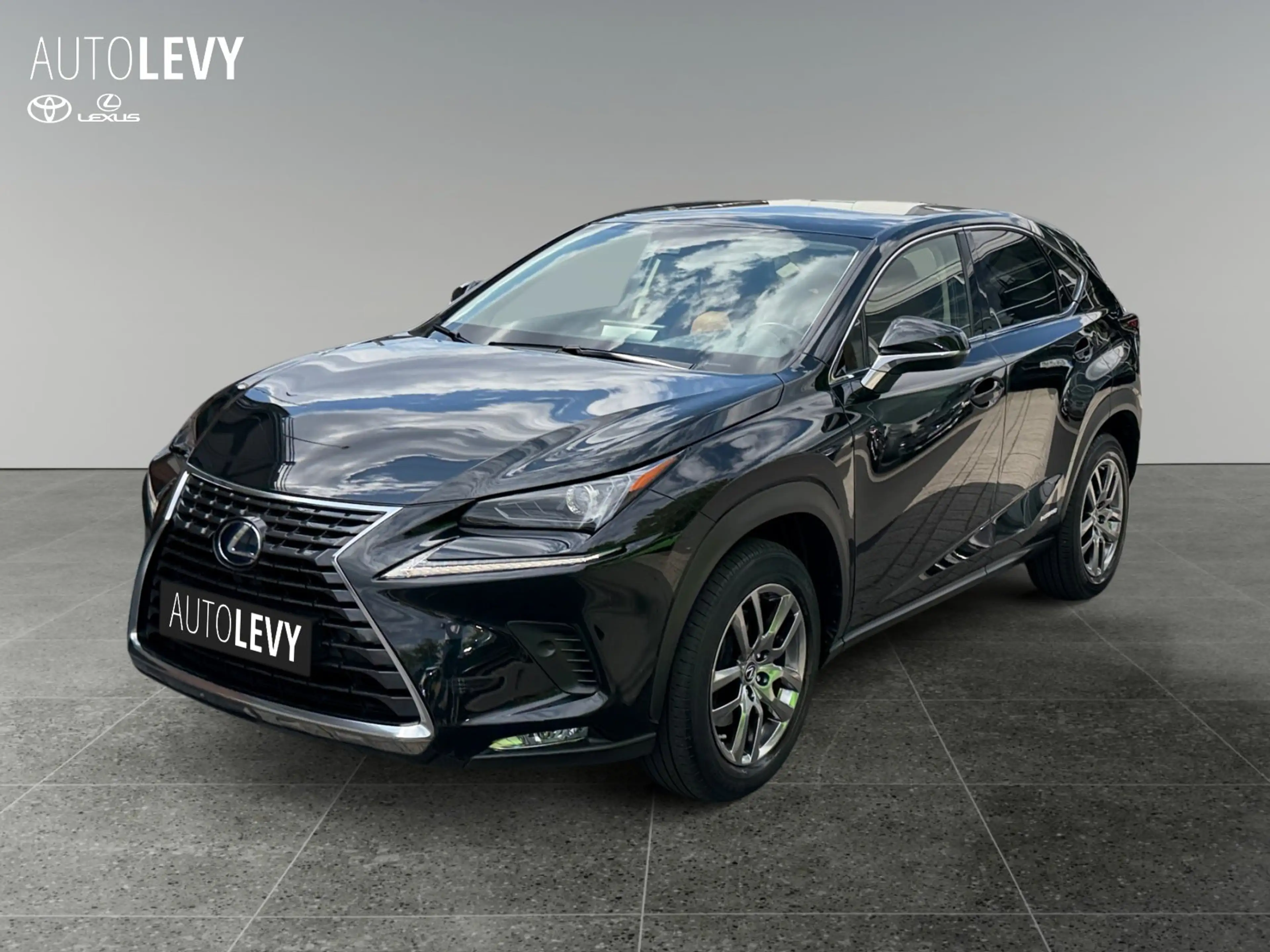 Lexus NX 300h E-Four Executive Line PANO/NAVI — photo 2