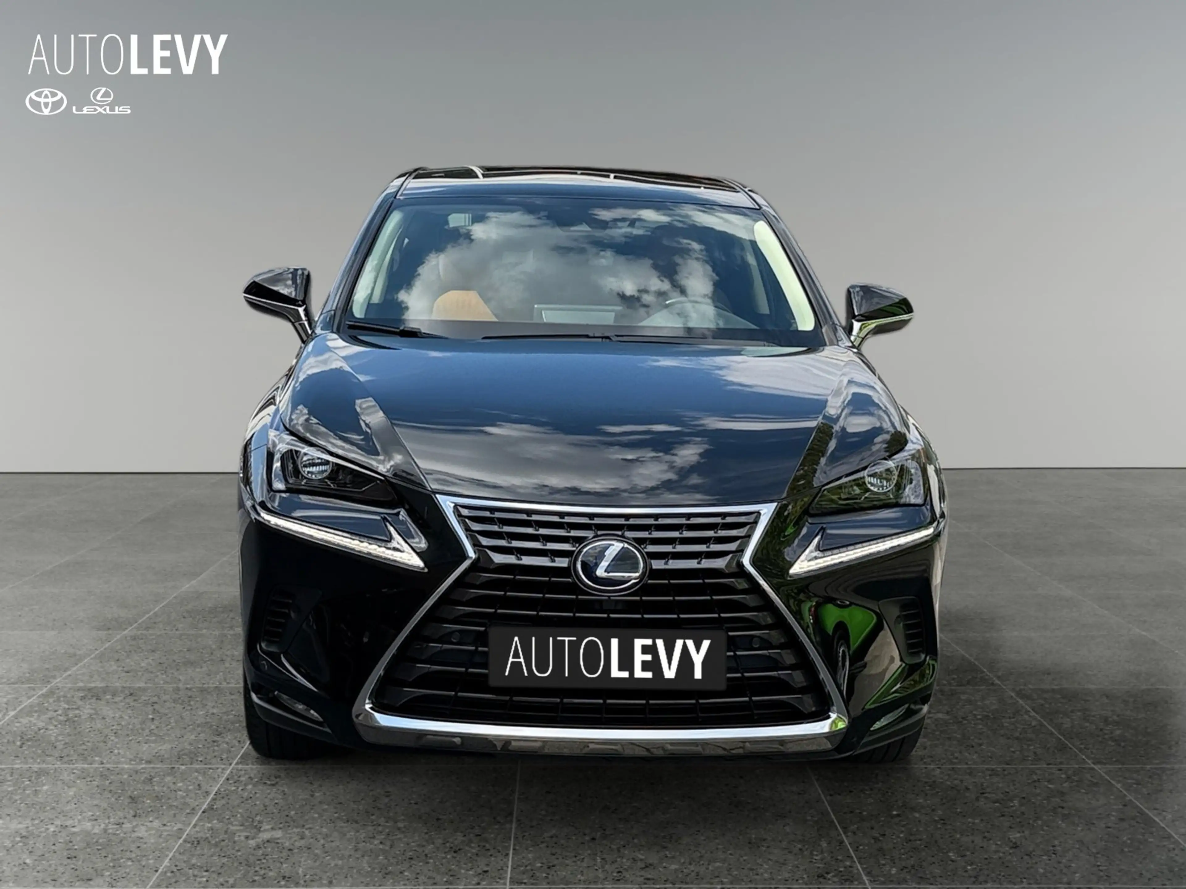 Lexus NX 300h E-Four Executive Line PANO/NAVI — photo 9