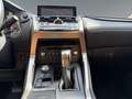 Lexus NX 300h E-Four Executive Line PANO/NAVI Schwarz - thumbnail 12