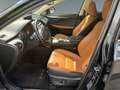 Lexus NX 300h E-Four Executive Line PANO/NAVI Schwarz - thumbnail 10