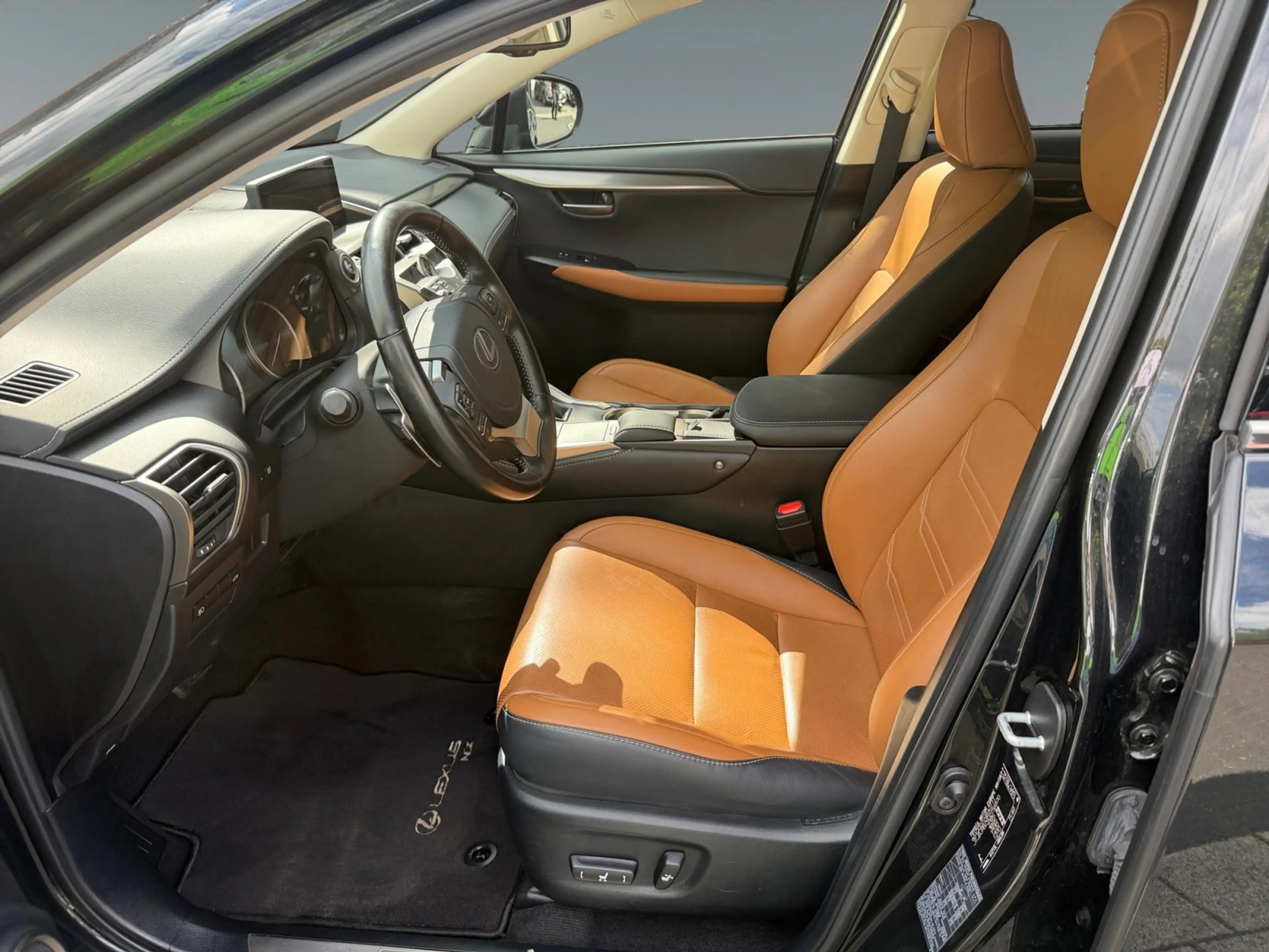 Lexus NX 300h E-Four Executive Line PANO/NAVI — photo 10