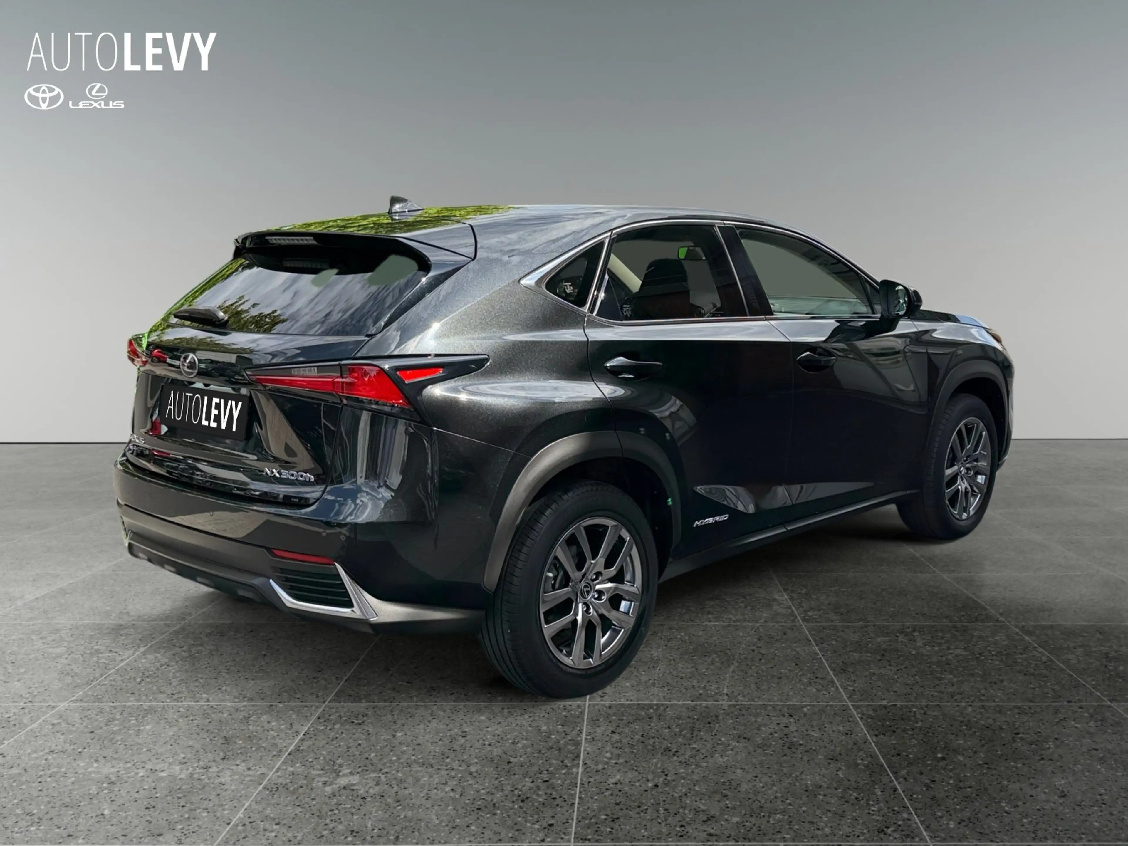 Lexus NX 300h E-Four Executive Line PANO/NAVI — photo 6