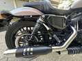 Harley-Davidson Sportster 1200 roadster 1200 ABS Stříbrná - thumbnail 5