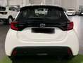 Toyota Yaris Yaris 1.5h Active AUTO A NOLEGGIO Weiß - thumbnail 6