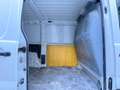 Peugeot Expert Kasten L1H1 Kasten Blanc - thumbnail 18