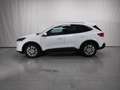 Ford Kuga TITANIUM 1.5 ECOBOOST 150CV SEMINUEVO Blanco - thumbnail 8