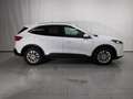 Ford Kuga TITANIUM 1.5 ECOBOOST 150CV SEMINUEVO Blanco - thumbnail 22