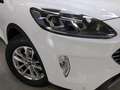 Ford Kuga TITANIUM 1.5 ECOBOOST 150CV SEMINUEVO Blanco - thumbnail 3