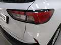 Ford Kuga TITANIUM 1.5 ECOBOOST 150CV SEMINUEVO Blanco - thumbnail 19