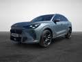 CUPRA Terramar VZ 2.0 TSI DSG 4Drive America's Cup Limited Edi... Gris - thumbnail 2