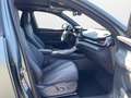 CUPRA Terramar VZ 2.0 TSI DSG 4Drive America's Cup Limited Edi... Gris - thumbnail 12