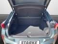 CUPRA Terramar VZ 2.0 TSI DSG 4Drive America's Cup Limited Edi... Gris - thumbnail 11