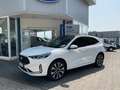 Ford Kuga ST-Line X PHEV *FGS*LED*PANO*AHK*SHZ*iACC Weiß - thumbnail 1