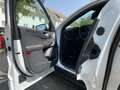 Ford Kuga ST-Line X PHEV *FGS*LED*PANO*AHK*SHZ*iACC Weiß - thumbnail 17