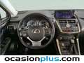Lexus NX 300 300h Business Navigation 2WD Gris - thumbnail 23