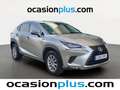 Lexus NX 300 300h Business Navigation 2WD Gris - thumbnail 2