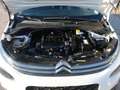 Citroen C3 C3 1.2 puretech Shine 82cv Bianco - thumbnail 13