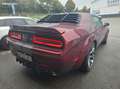 Dodge Challenger 6.4 SRT 492cv SCAT PACK 17000kms-2017 carte grise inclus Goud - thumbnail 3