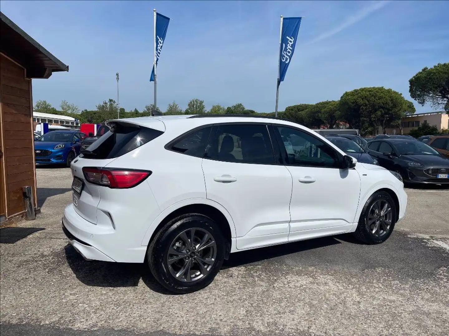 Ford Kuga 1.5 ecoblue ST-Line 2wd 120cv Fehér - 2
