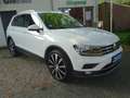 Volkswagen Tiguan Highline Navi PDC Head UP DSG AHK Blanc - thumbnail 19