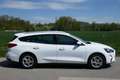 Ford Focus Cool&Connect Weiß - thumbnail 2