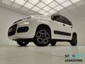 Fiat Panda III van 0.9 Pop 85cv 4x4 2p.ti serie 4 E6d Bianco - thumbnail 3