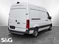 Mercedes-Benz Sprinter 317 CDI Kasten L2H2 KAMERA 360° SITZHZ. Weiß - thumbnail 3