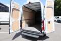 Mercedes-Benz Sprinter 317 CDI Kasten L2H2 KAMERA 360° AHK Weiß - thumbnail 8