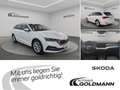 Skoda Octavia Combi Style 2,0 TDI 110 kW DSG AHK Weiß - thumbnail 15
