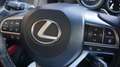 Lexus GS 450h 345pk F-Sport Line Schuif/kanteldak Head-up Leder Gris - thumbnail 43