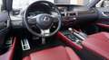 Lexus GS 450h 345pk F-Sport Line Schuif/kanteldak Head-up Leder Gris - thumbnail 9