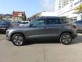 Skoda Karoq 2,0 TDI 4x4 DSG Selection Grau - thumbnail 4