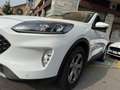 Ford Kuga 1.5 EcoBlue Connect 2wd 120cv Bianco - thumbnail 3