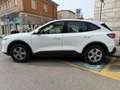 Ford Kuga 1.5 EcoBlue Connect 2wd 120cv Bianco - thumbnail 4