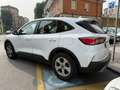 Ford Kuga 1.5 EcoBlue Connect 2wd 120cv Bianco - thumbnail 5