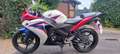 Honda CBR 125 Wit - thumbnail 2