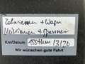 Mercedes-Benz B 180 d Aut. Style LED Navi Sportsitze Sitzheizung PDC Weiß - thumbnail 23