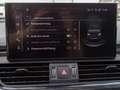 Audi Q5 40 TDI Q 2x S LINE LM20 KAMERA NAVI Blau - thumbnail 12