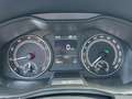 Skoda Kamiq 1.0 Doppelkupplungsgetriebe - Clever Weiß - thumbnail 11