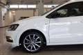 Volkswagen Polo 5p 1.4 tdi bm Fresh 75cv Blanc - thumbnail 7