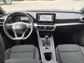 SEAT Leon ST 1.5 EcoTSI S&S FR Fast Edition 150 Burdeos - thumbnail 17