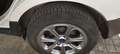 Ford EcoSport EcoSport 1.0 EcoBoost Titanium Aut. 125 Titanium Blanco - thumbnail 13
