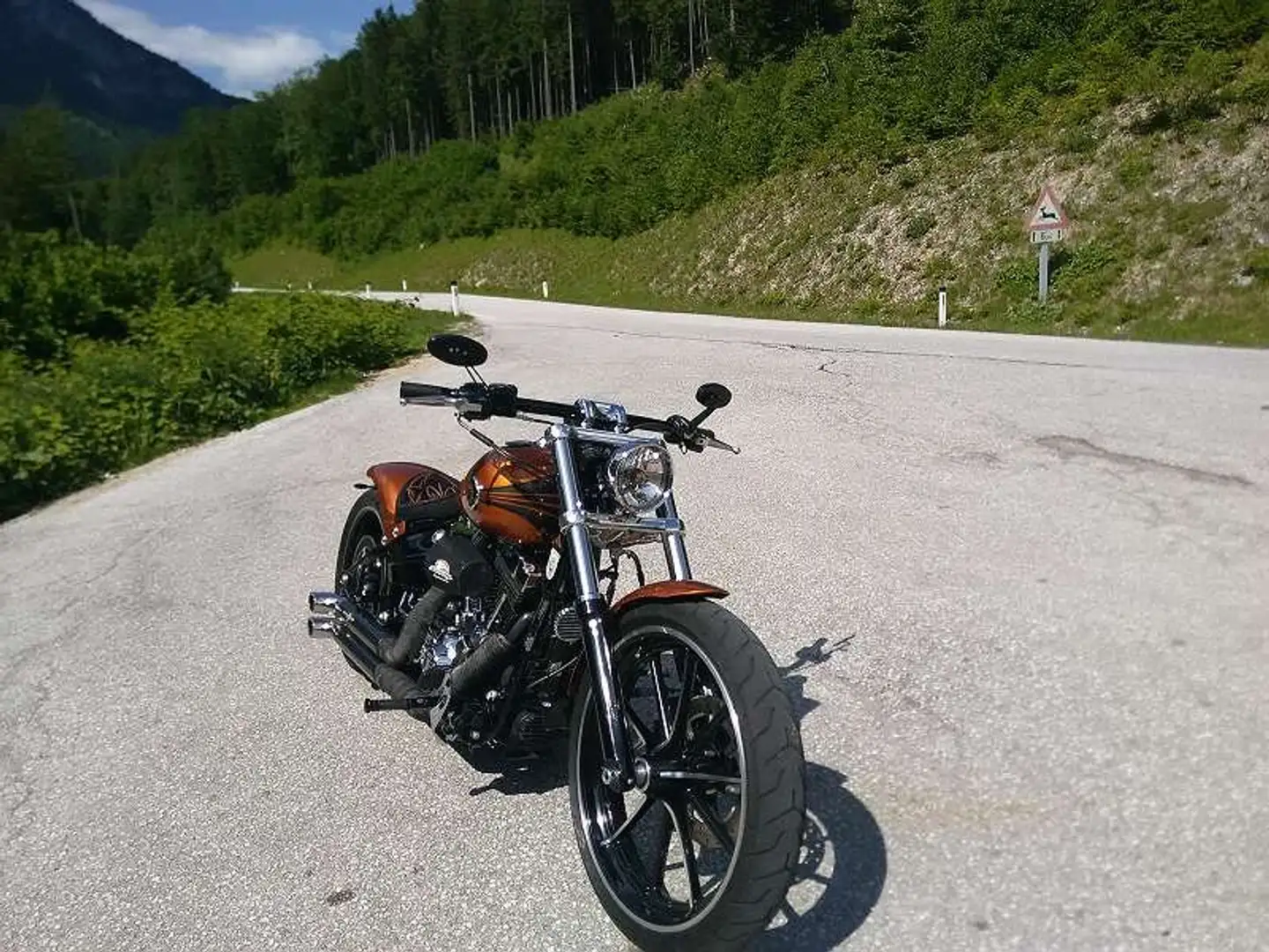 Harley-Davidson Softail FXSB Breakout Custom Bronzová - 2