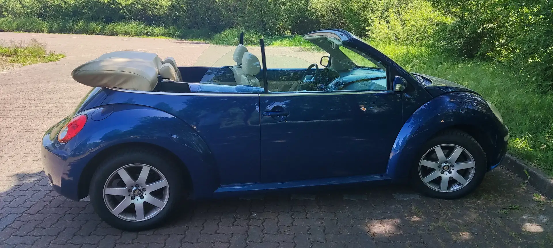 Volkswagen Beetle Bleu - 1