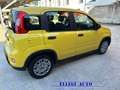 Fiat Panda 1.0  Hybrid ADAS no finanziamento KM ZERO Giallo - thumbnail 8