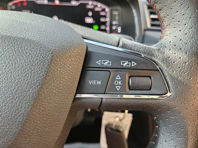SEAT Ibiza view 17
