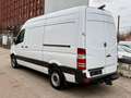 Mercedes-Benz Sprinter II Kasten 316 CDI / AUTOMATIK/ TÜV NEU Weiß - thumbnail 11