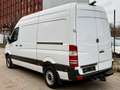 Mercedes-Benz Sprinter II Kasten 316 CDI / AUTOMATIK/ TÜV NEU Weiß - thumbnail 10